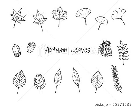 秋の葉っぱ ペン画 セットのイラスト素材