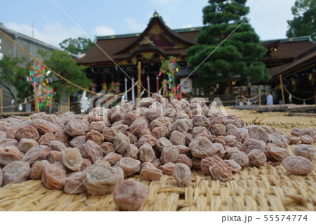 京都、北野天満宮の境内で行われた土用干しの梅と拝殿 京都、北野天満宮の境内で行われた土用干しの梅と拝殿 55574774