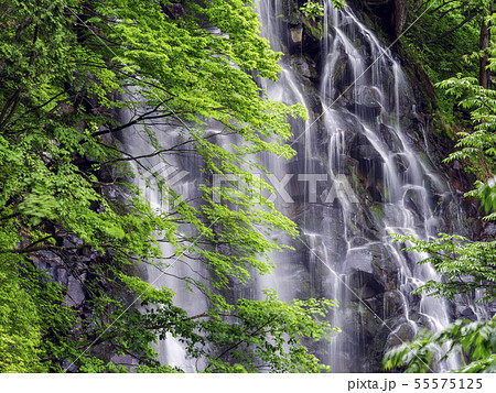 一の滝(秋田県)立又溪谷 一の滝(秋田県)立又溪谷 55575125