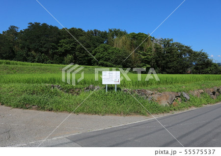 ■ 深草館 ■ 谷戸城の支城 ■ 逸見氏家臣、堀内氏 ■ 山梨県 北杜市 ■ 深草館 ■ 谷戸城の支城 ■ 逸見氏家臣、堀内氏 ■ 山梨県 北杜市 55575537