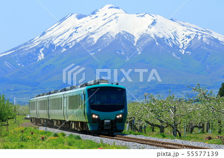 五能線・春のリンゴ畑を行く観光列車 五能線・春のリンゴ畑を行く観光列車 55577139