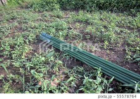 支柱 支柱 55578764