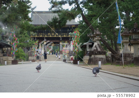 京都、北野天満宮の参道から見える楼門と夏のミストシャワーが出る風景 京都、北野天満宮の参道から見える楼門と夏のミストシャワーが出る風景 55578902