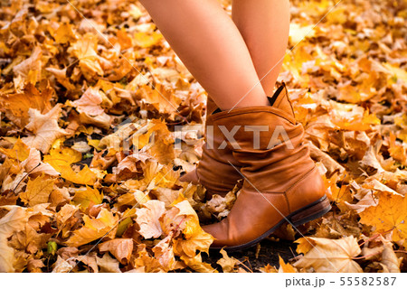 Female legs in brown boots. Yellow foliage Female legs in brown boots. Yellow foliage 55582587