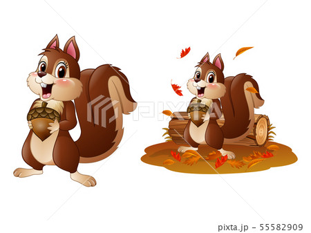 Cartoon funny squirrel holding pine cone 55582909