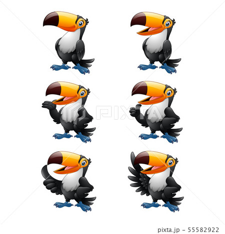 Cartoon Funny Toucan Illustration Collections - Stock Illustration  [55582922] - Pixta