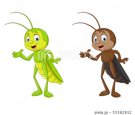 Cartoon cricket presenting illustration collection 55582932