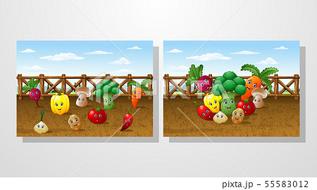 Cartoon vegetable garden farm background Cartoon vegetable garden farm background 55583012