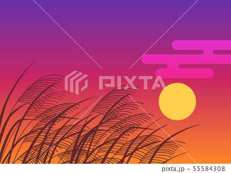 ススキと夕陽 55584308