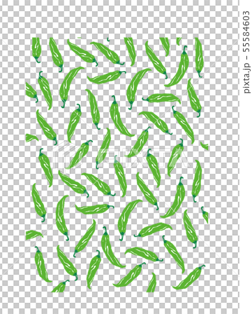 Green chili pepper pattern 55584603