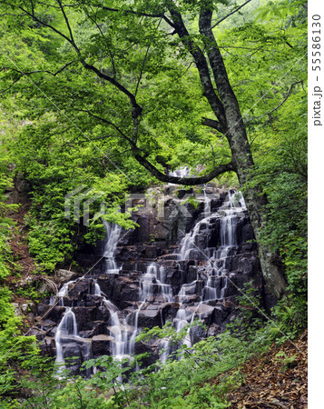 二ノ滝(秋田県)立又溪谷 二ノ滝(秋田県)立又溪谷 55586130