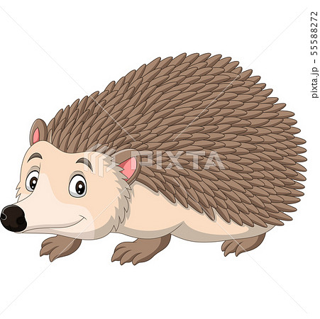 Cartoon happy hedgehog on white background 55588272