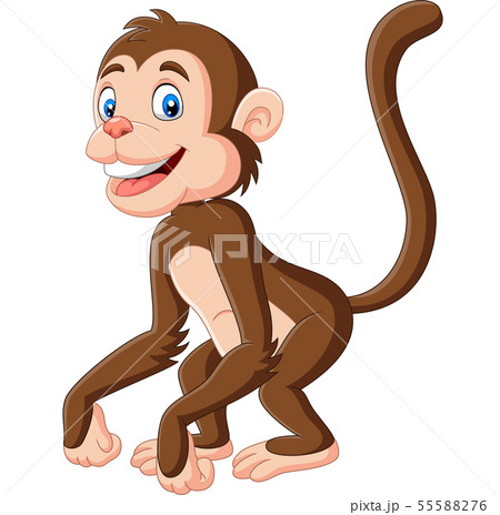 Cute baby monkey cartoon on white background 55588276