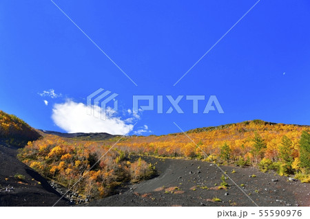 紅葉の富士山吉田口登山道5合目から山頂にかかる雲 紅葉の富士山吉田口登山道5合目から山頂にかかる雲 55590976