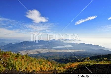 紅葉の富士山吉田口登山道5合目付近の林と山中湖に山並み 紅葉の富士山吉田口登山道5合目付近の林と山中湖に山並み 55590996