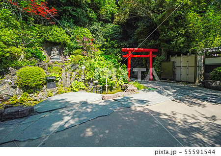 鎌倉 長谷寺 弁天窟の入口 鎌倉 長谷寺 弁天窟の入口 55591544