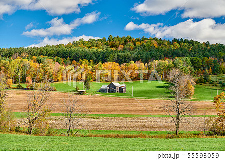 Autumn landscape with old house Autumn landscape with old house 55593059