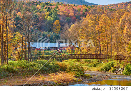 Autumn landscape with farm with barn 55593067