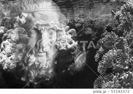 Face of ancient statue on a underwater background with corals and fish. Art, adventure, underwater 55593372