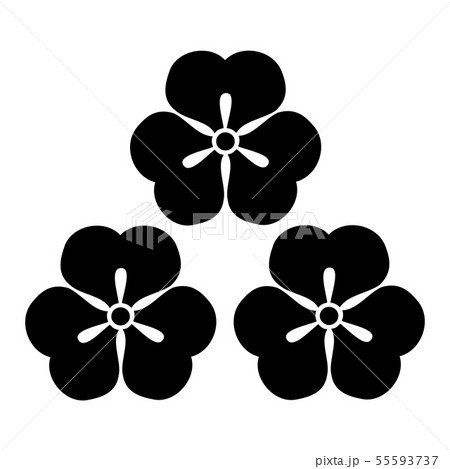 肥田氏　三つ盛酢漿草 55593737