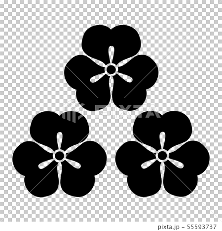 肥田氏　三つ盛酢漿草 55593737