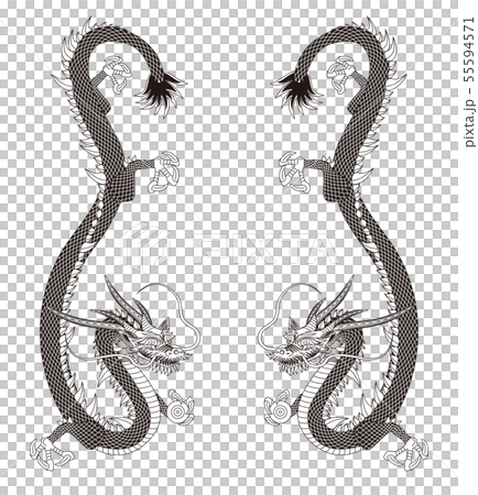 龍神的插圖 龍神的插圖 55594571