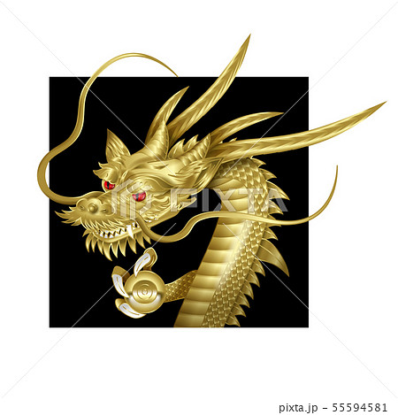 龍神のイラスト 55594581