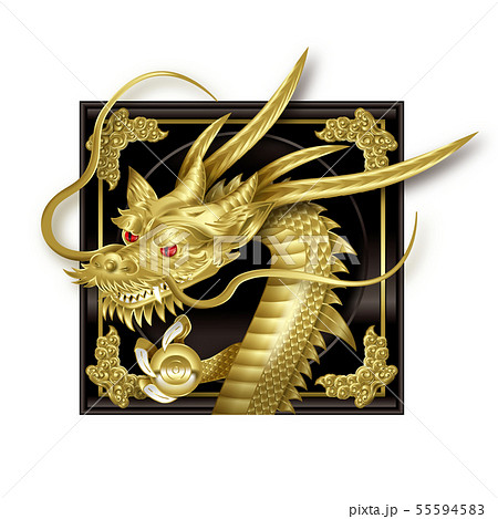 龍神のイラスト 龍神のイラスト 55594583