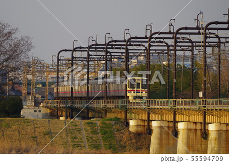 夕暮の多摩川橋梁を通過する京王線 55594709
