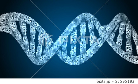 DNA. Abstract 3d polygonal wireframe DNA molecule DNA. Abstract 3d polygonal wireframe DNA molecule 55595192