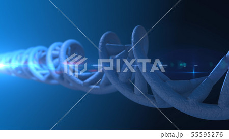 DNA. Abstract 3d polygonal wireframe DNA molecule DNA. Abstract 3d polygonal wireframe DNA molecule 55595276