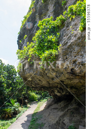 与那国島ティンダバナ（ティンダハナタ）[2019/7] 55596378