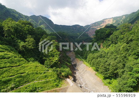 信州の災害跡地　北安曇郡小谷村の稗田山崩れ　崩落跡　２０世紀最大級の土砂災害 55596919