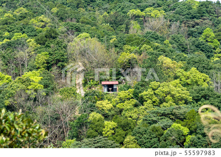 景色 風景 台湾 55597983