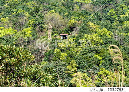 景色 風景 台湾 55597984