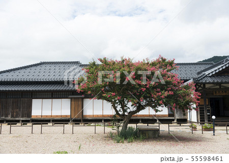 出石家老屋敷 出石家老屋敷 55598461