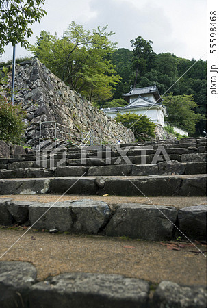 出石城跡 55598468
