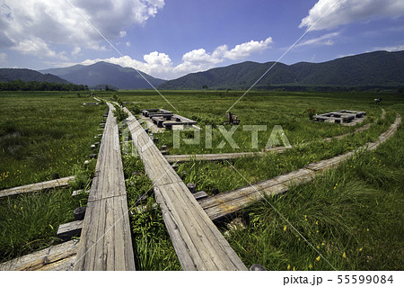 尾瀬ヶ原 竜宮十字路 尾瀬ヶ原 竜宮十字路 55599084