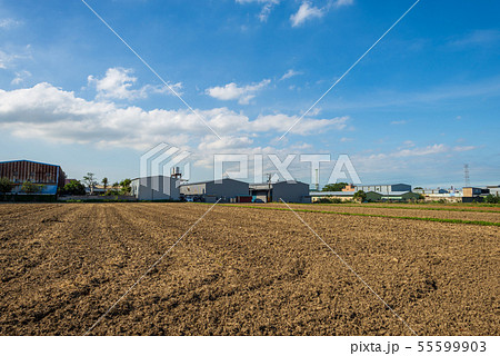 植物 工場 プランツ 55599903