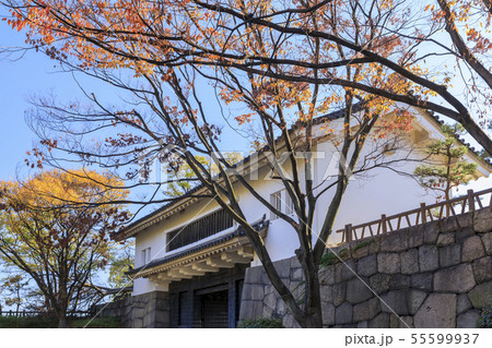 大阪・秋の大阪城公園・青屋門 大阪・秋の大阪城公園・青屋門 55599937