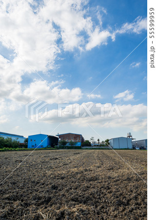 植物 工場 プランツ 55599959