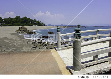 桂浜 高知県高知市 桂浜 高知県高知市 55600323
