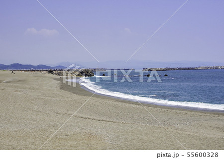 桂浜 高知県高知市 桂浜 高知県高知市 55600328