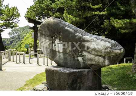 桂浜 石碑 高知県高知市 桂浜 石碑 高知県高知市 55600419
