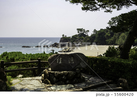 桂浜 石碑 高知県高知市 桂浜 石碑 高知県高知市 55600420