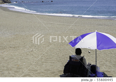 桂浜　監視員　高知県高知市 55600445