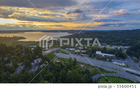 Drone shot of the city of Bellevue from above 55600451