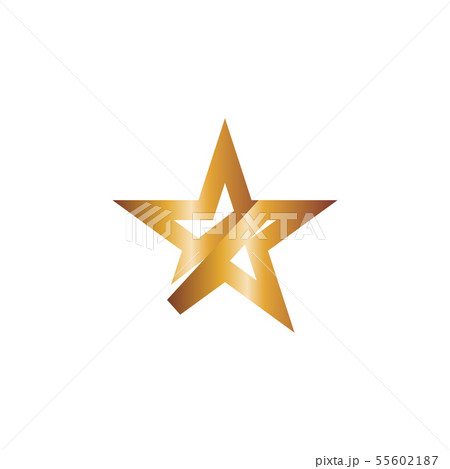Star logo graphic design template vector 55602187
