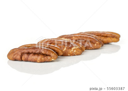 Fresh pecan nut isolated on white 55603387