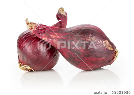 Stale red onion isolated on white Stale red onion isolated on white 55603980